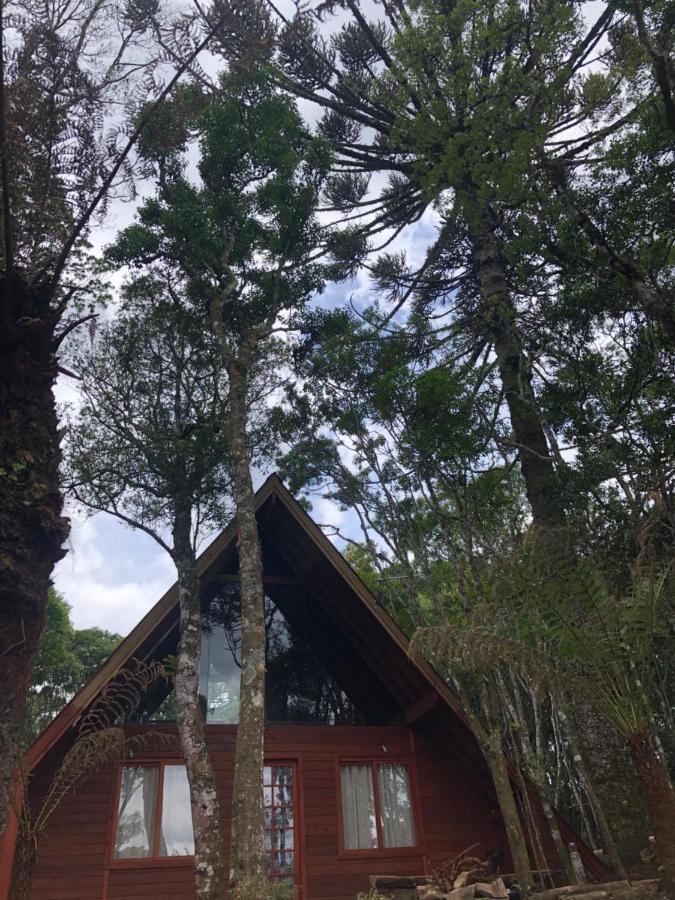 A Cabana Sao Chico Sao Francisco de Paula  Ngoại thất bức ảnh