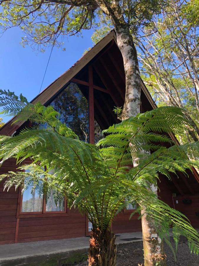 A Cabana Sao Chico Sao Francisco de Paula  Ngoại thất bức ảnh